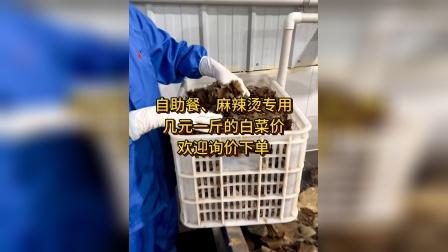 快手24小时自助免费下单软件_快手24小时自助免费下单软件_快手24小时自助免费下单软件