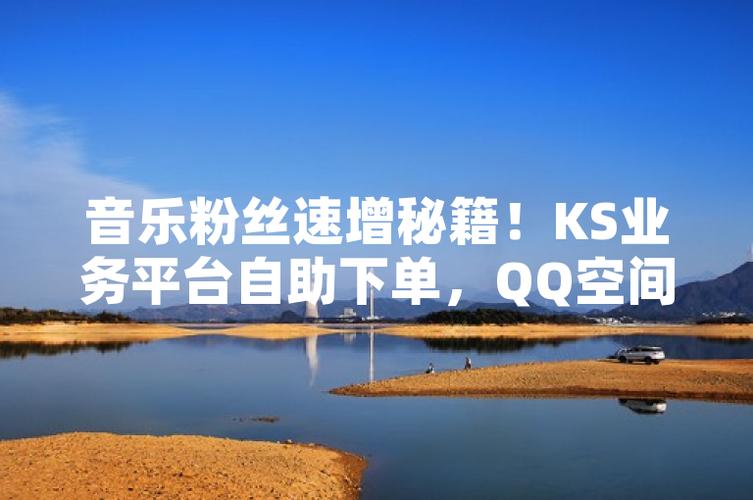 ks业务自助下单软件最低价_自助下单全网最低价_超低价货源自助下单