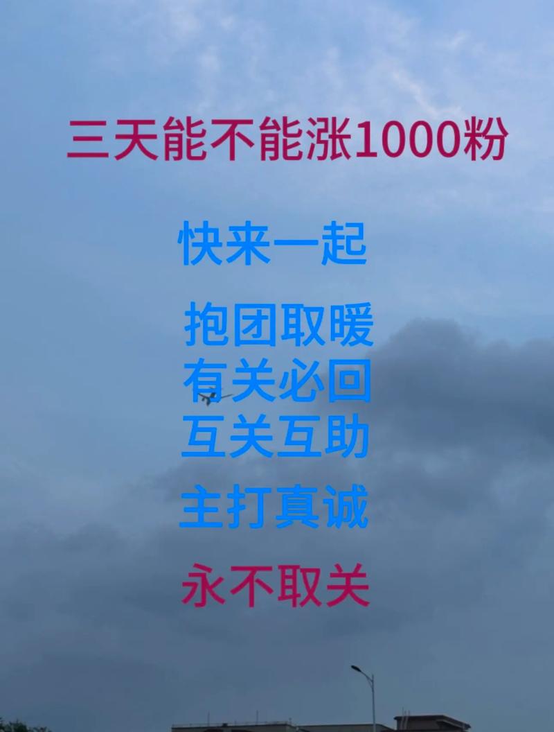 抖音粉丝如何快速增加到1000_抖音丝粉快速增加到1万_抖音粉丝怎么快速增加