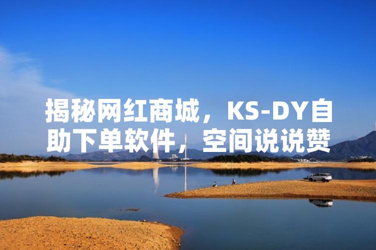 超低价货源自助下单_ks业务自助下单软件最低价_自助下单全网最低价