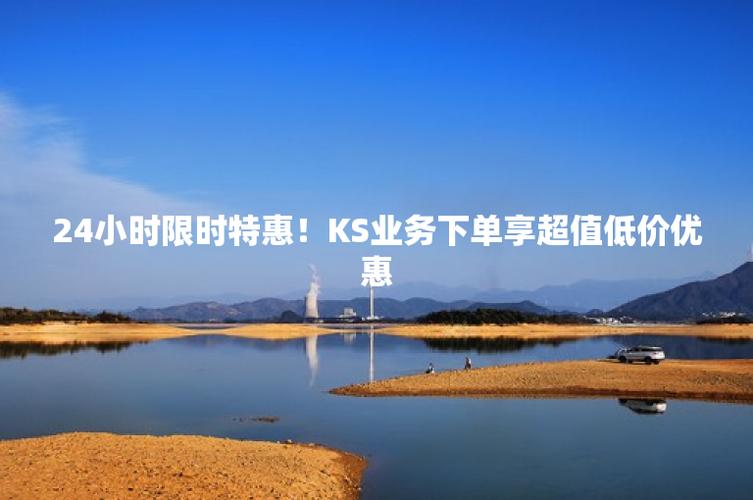 ks业务自助下单软件最低价_全网最稳最低价自助下单_超低价货源自助下单