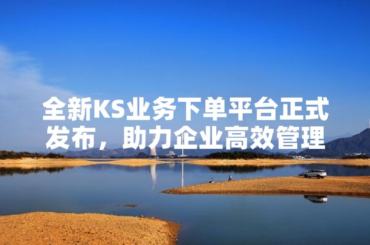 ks业务自助下单软件最低价_全网最稳最低价自助下单_超低价货源自助下单