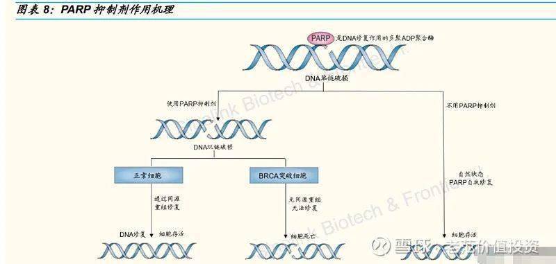 抖音点赞自助平台24小时全网最低_抖音点赞自助平台24小时全网最低_抖音点赞自助平台24小时全网最低