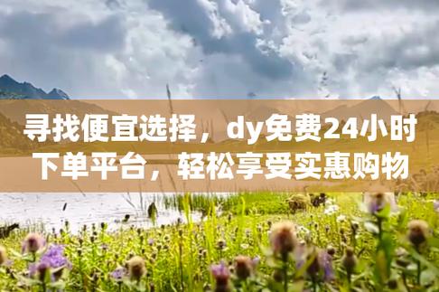 dy24小时自助服务平台_24小时自助业务下单超稳定_24小时自助软件