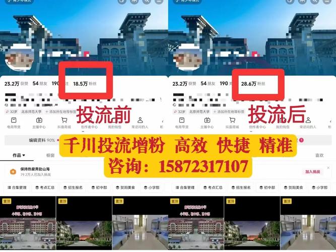 ds抖音粉_抖音抖粉什么意思_抖音粉下单