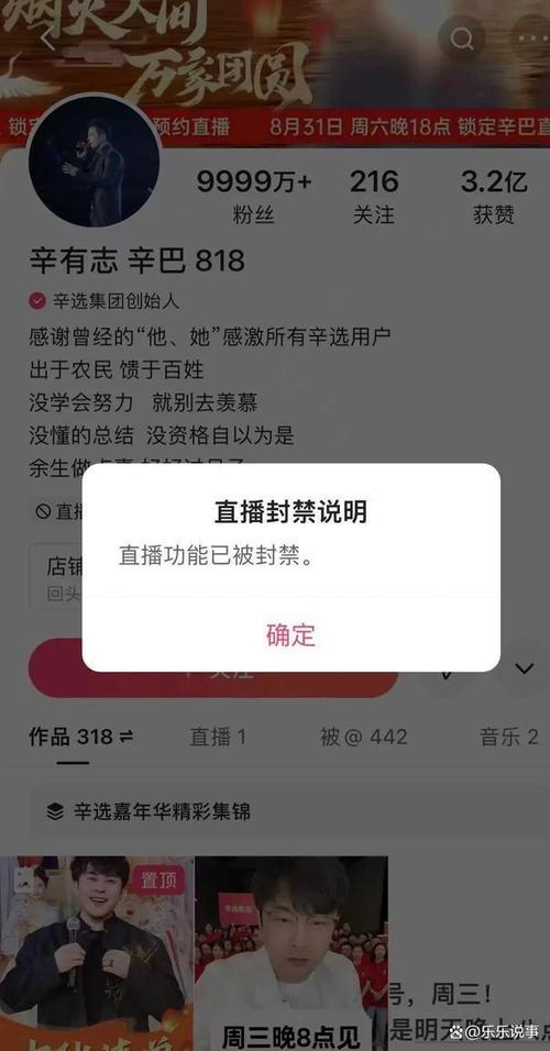 快手1元1000赞_快手辛巴超级双十一直播_辛巴直播100亿目标销售额