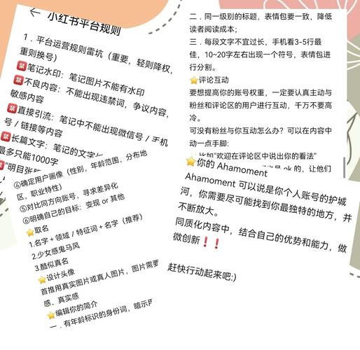 小红书涨粉四大技巧是什么_小红书快速涨粉技巧_短视频社交平台涨粉策略