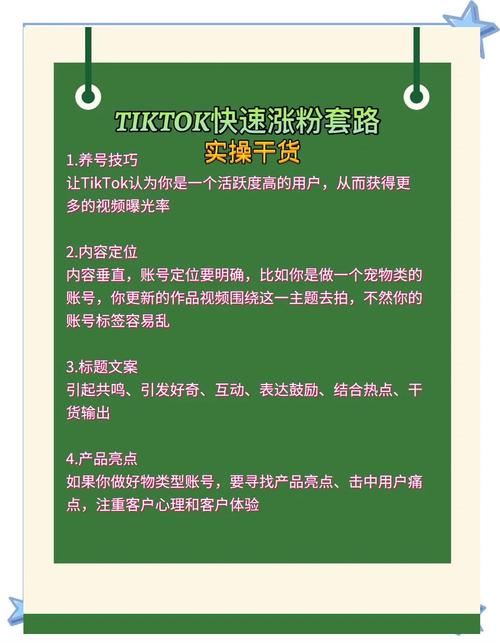 tiktok买粉_ 新手TikTok个人IP涨粉 _TikTok快速涨粉技巧 