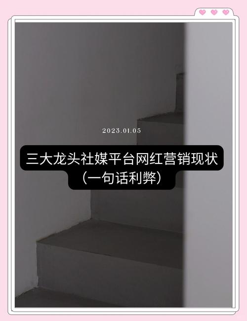 社交媒体平台快速积累人气技巧_点赞网红速成_网红速成点赞APP风险