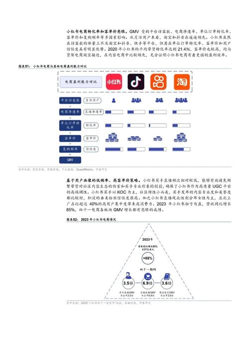 小红书IPO商业化增长_买小红书1000粉180元贵嘛_小红书2024年Q1营收增长