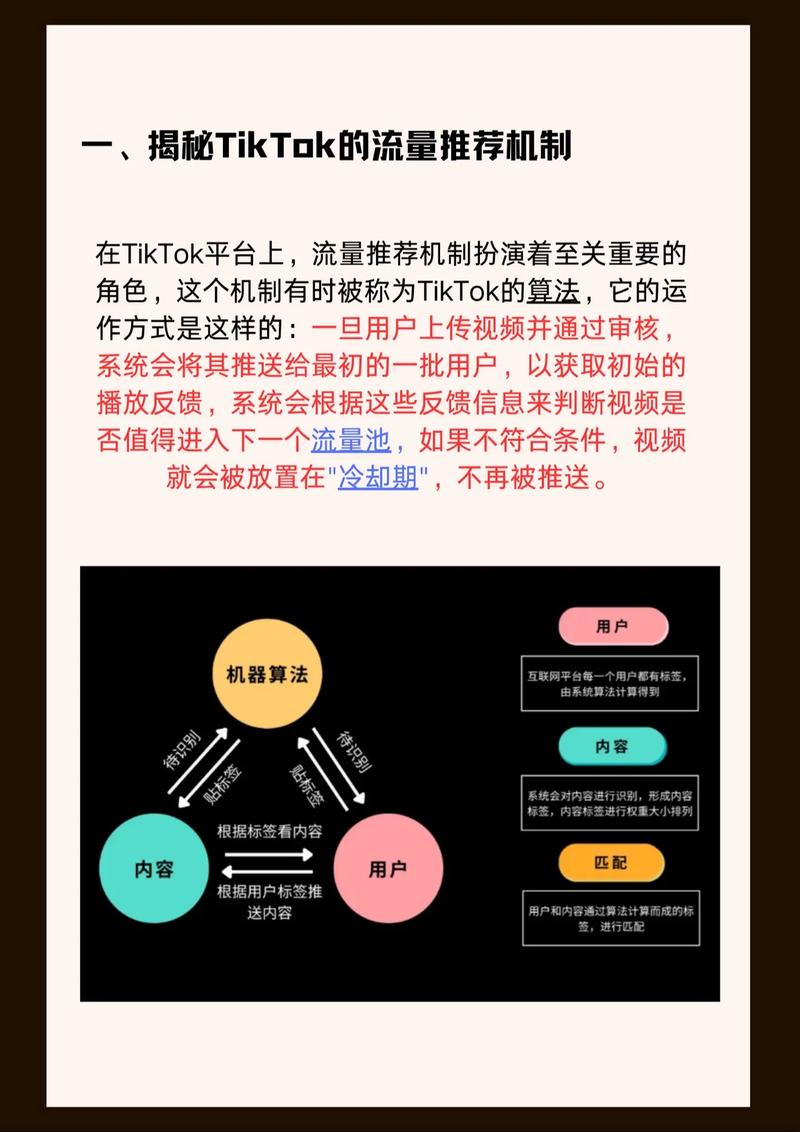 TikTok下载量分析_抖音全球下载量_快手涨热度