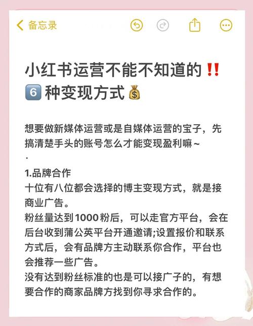 小红书涨粉有钱吗_小红书赚钱方法_小红书5000粉变现