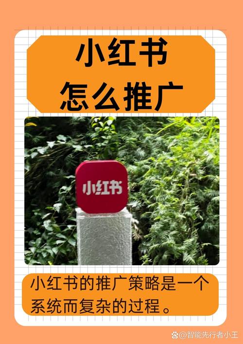 怎么才能在小红书上增加粉丝_小红书推广流量提升_笔记标题创意引导