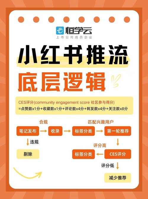 怎么才能在小红书上增加粉丝_笔记标题创意引导_小红书推广流量提升