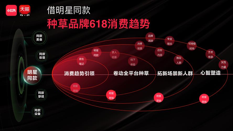 小红书业务下单平台_小红书淘天战略合作 _ 红猫计划全链路数据打通 