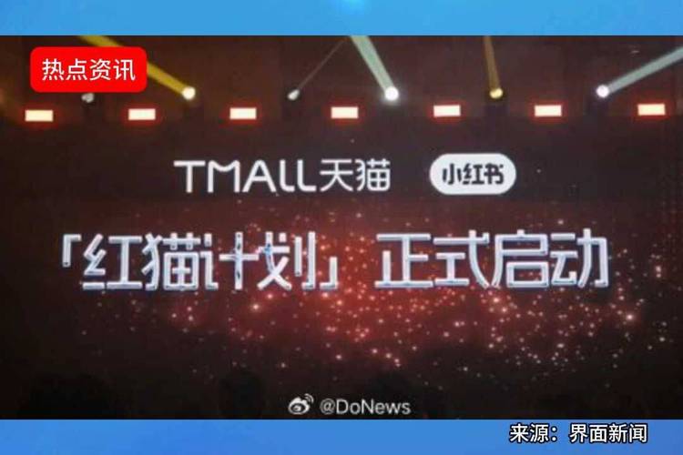 淘宝天猫小红书战略合作 _小红书业务下单平台_ 红猫计划种草直达 