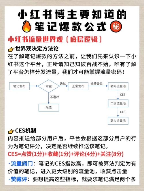 小红书笔记流量低迷原因分析_小红书笔记流量提升策略_小红书涨粉困难的原因
