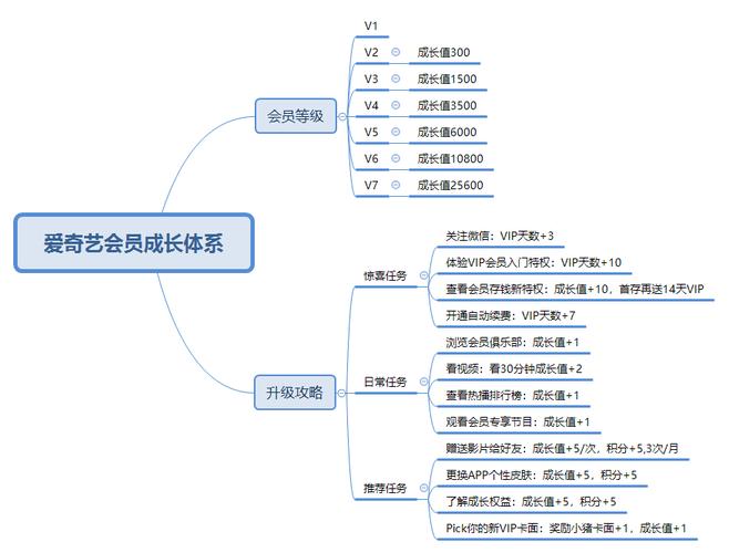  视频平台VIP会员成长体系分析 __快手业务平台全网最低价