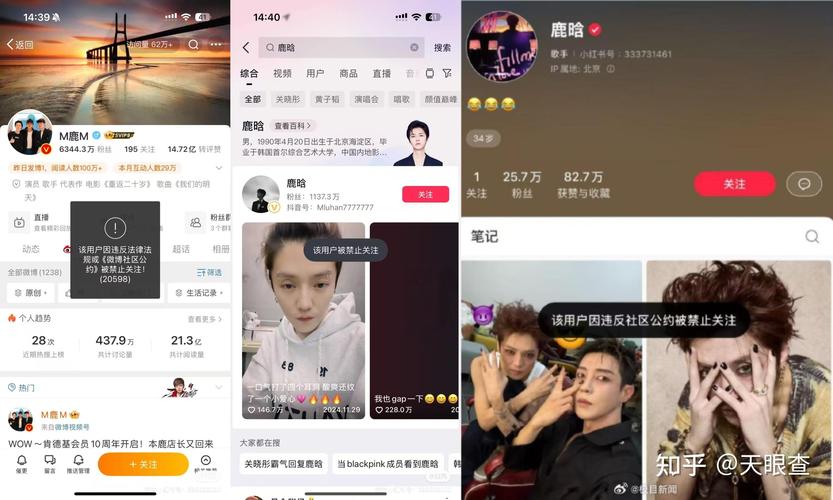 网红在线下单平台_直播行业整治规范_2016网红直播兴起