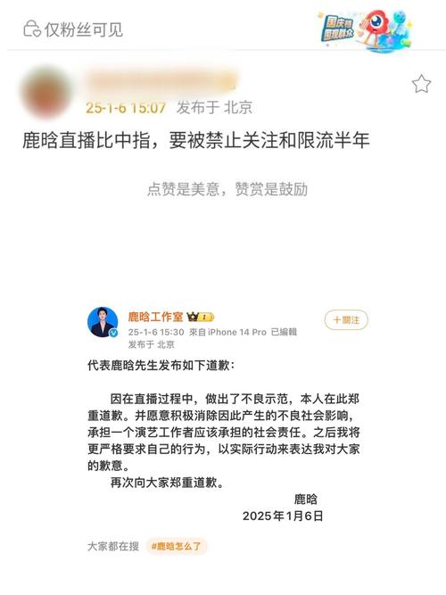 2016网红直播兴起_网红在线下单平台_直播行业整治规范