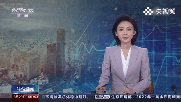 社交电商发展趋势_网红在线下单平台_中国社交应用发展统计报告