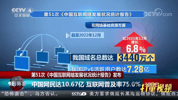 网红在线下单平台_社交电商发展趋势_中国社交应用发展统计报告