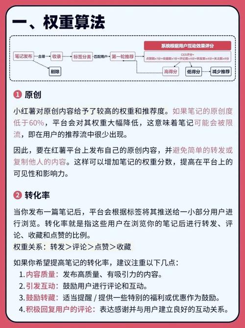 小红书涨粉逻辑的四个方面_小红书运营技巧_小白快速涨粉方法
