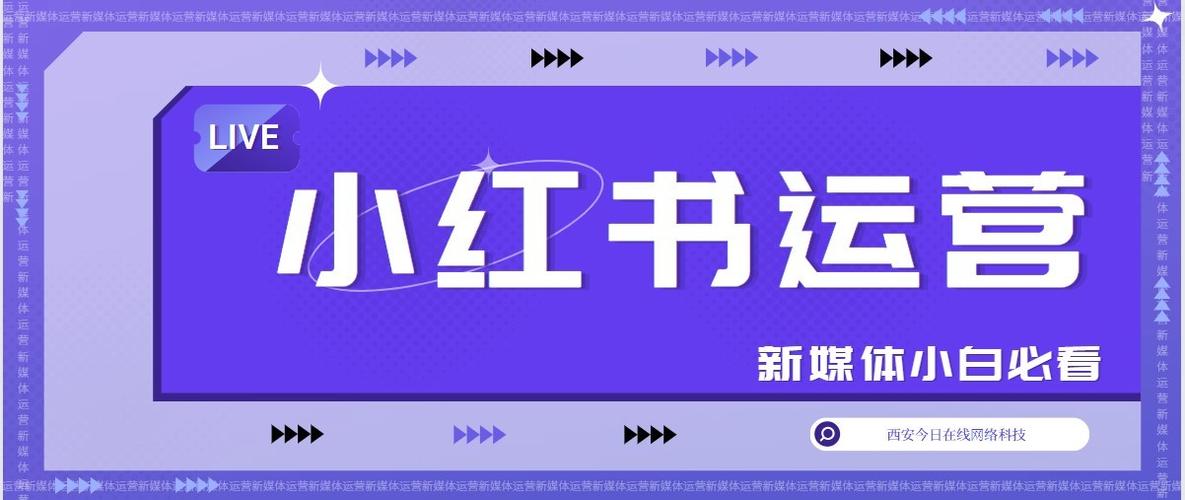 小红书博主新手教程 _小红书涨粉逻辑的四个方面_ 小红书内容定位技巧 