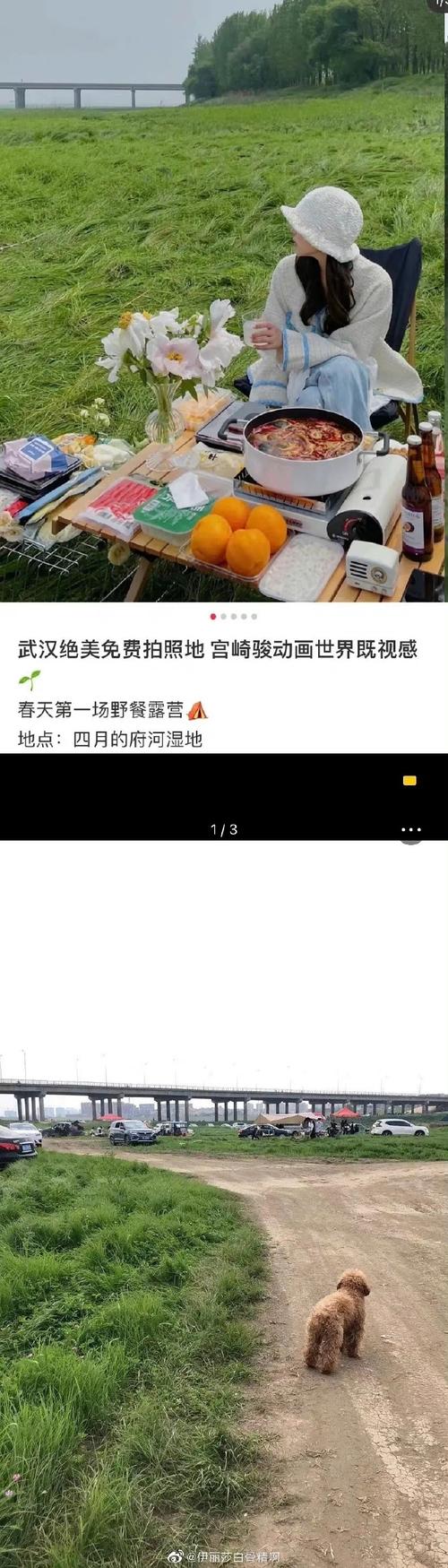 小红书1500粉丝报价_小红书滤镜景点被坑经历_小红书滤镜效果讨论