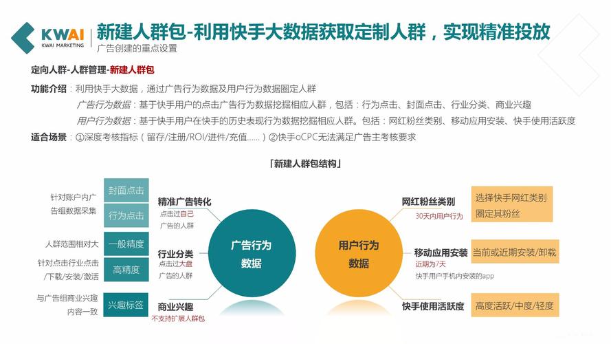 分类投放策略_快手流量推广软件_快手广告精准投放