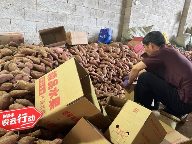 数字化农产带建设_拼多多农云行动_拼多多助力神器软件