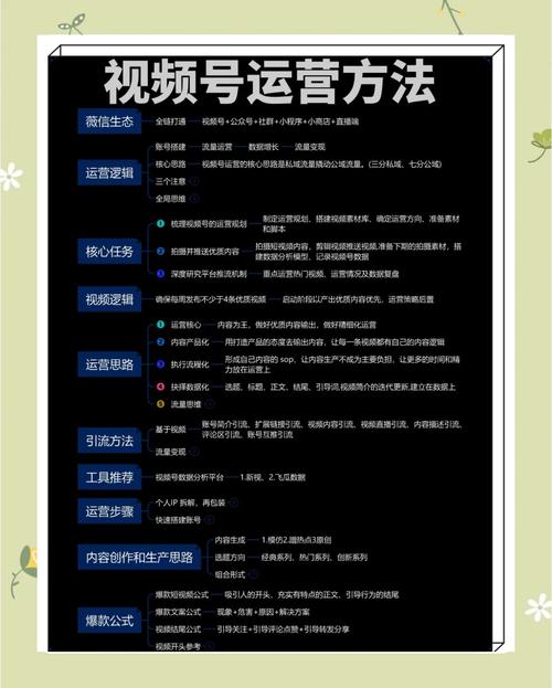小红书涨粉逻辑的四个方面_淘宝天猫小爆款矩阵打造课程_视频号线上课程全方位解析