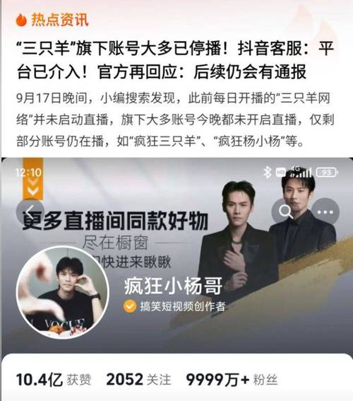 直播电商粉丝流失_抖音有效粉丝数据每天几点更新_直播带货虚假宣传案例