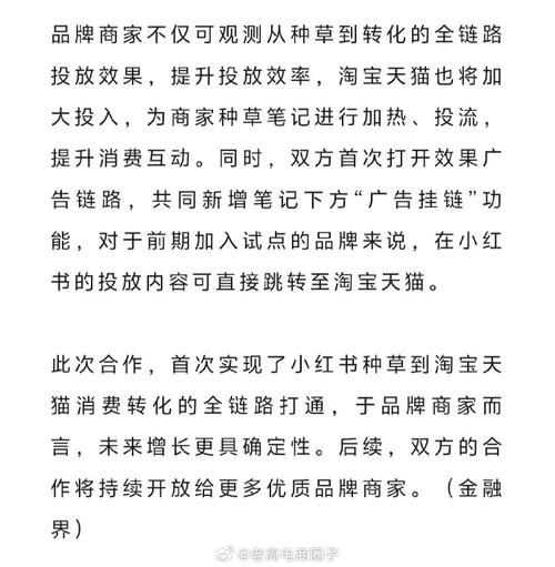 小红书电商外链开放策略_小红书电商合作流量变现_小红书业务下单平台