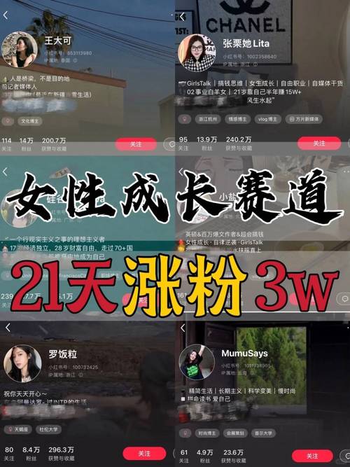 小红书首届独立开发大赛_小红书涨粉可以赚钱吗_小红书宝藏APP赛道