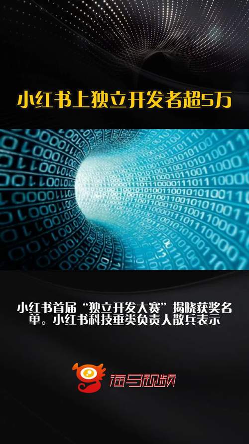 小红书首届独立开发大赛_小红书涨粉可以赚钱吗_小红书宝藏APP赛道