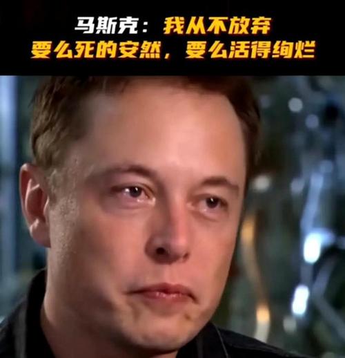 _推特粉丝业务平台_ 埃隆·马斯克推特粉丝 
