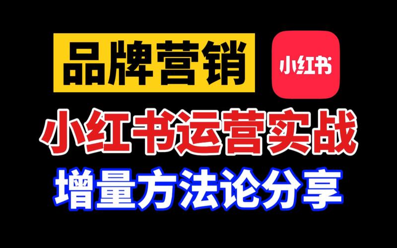 小红书粉丝自动下单_小红书买手转型品牌主理人_小红书电商生态