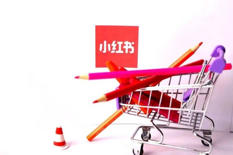 小红书直播带货成功案例_小红书业务下单24小时_小红书主理人电商模式