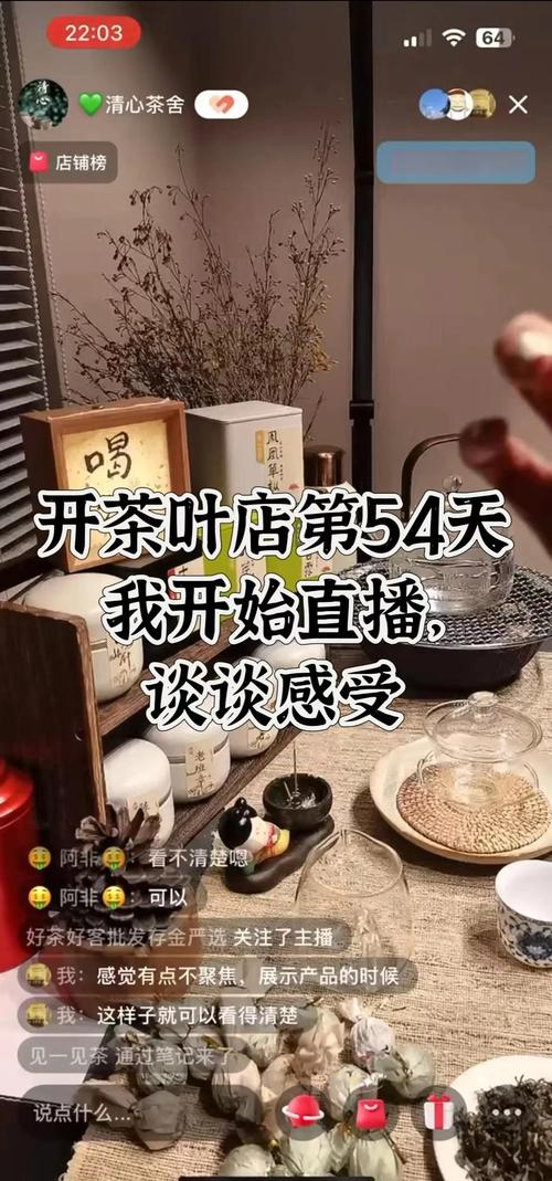  店铺直播电商销售额 _播放量自助下单平台_