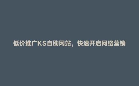 社交媒体自助下单平台_ks业务流程低价下单_ks业务下单平台秒到账