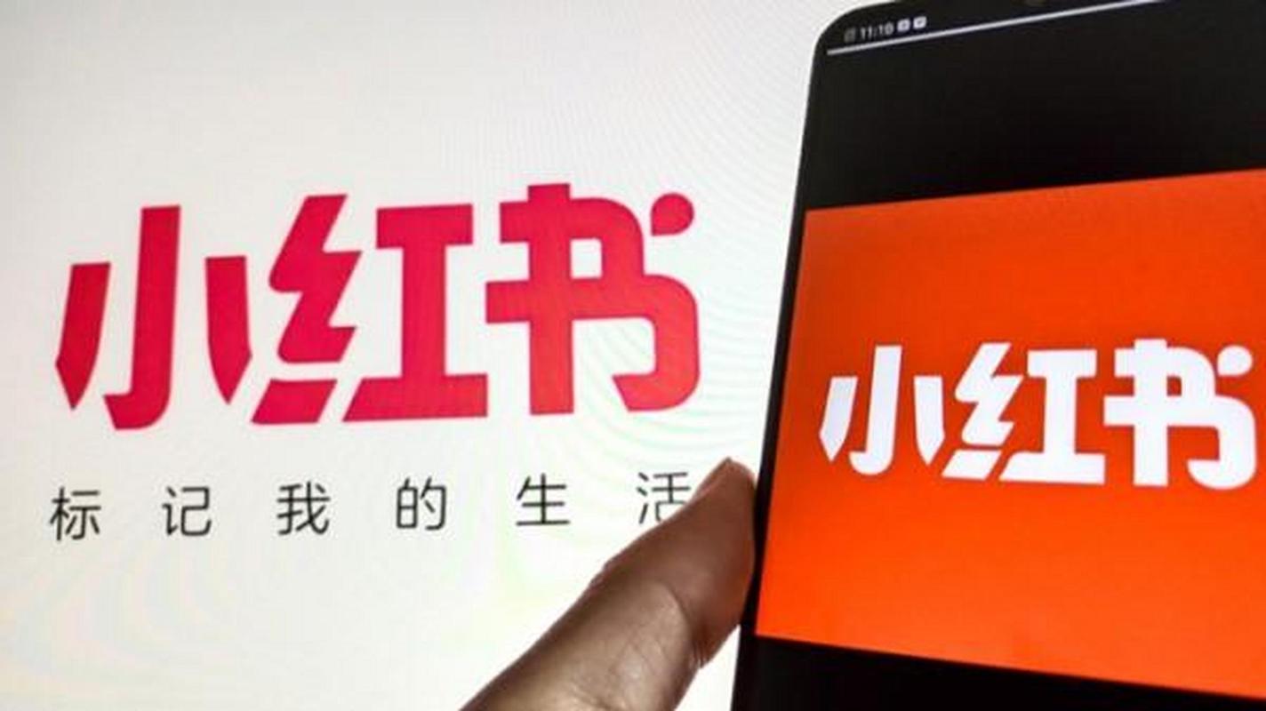 小红书电商平台关闭原因_小红书小绿洲停止运营_小红书业务下单平台