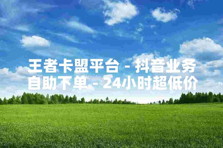 卡盟自助下单优势_卡盟平台自助下单低价_快速下单秒到达体验