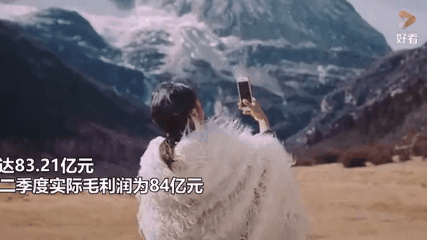 快手2025年第一季度财报分析_快手业务下单平台_快手商业化路径成熟期