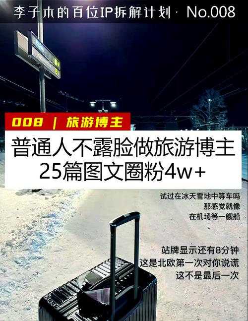 抖音快手快速涨粉方法_视频博主不露脸涨粉技巧_快手作品点赞自助1元100赞网址