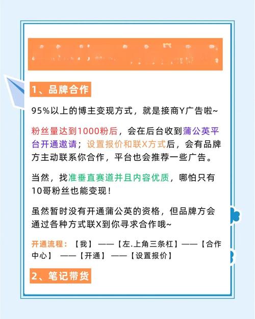 小红书内容植入广告报价_小红书涨粉困难的原因_小红书博主变现方式