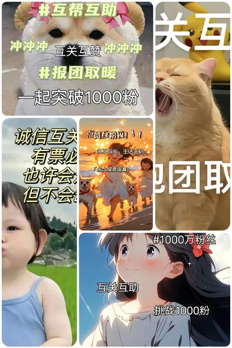 抖音刷赞网站_抖音助力自助网站_1元涨1000粉丝