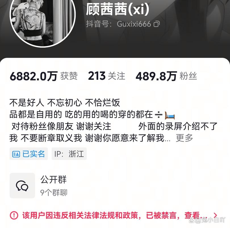 顾茜茜直播间日入30万_抖音主播顾茜茜永久封禁_抖音有效粉丝数据每天几点更新