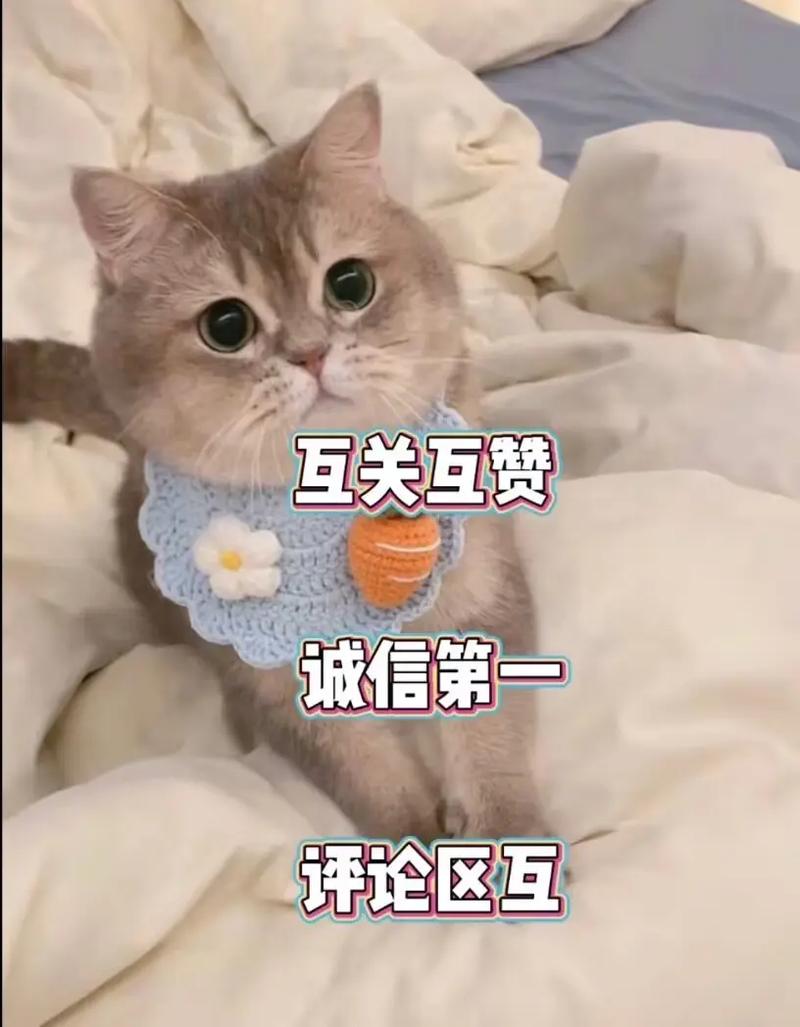 微博24小时秒单业务网_网易云刷粉自助下单网站_抖音刷赞评论平台
