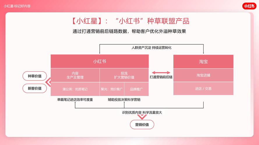 小红团本地生活服务营销_小红书美团数据对传机制_小红书业务24小时免费下单平台
